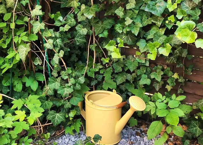 Port 13-a Apartamento